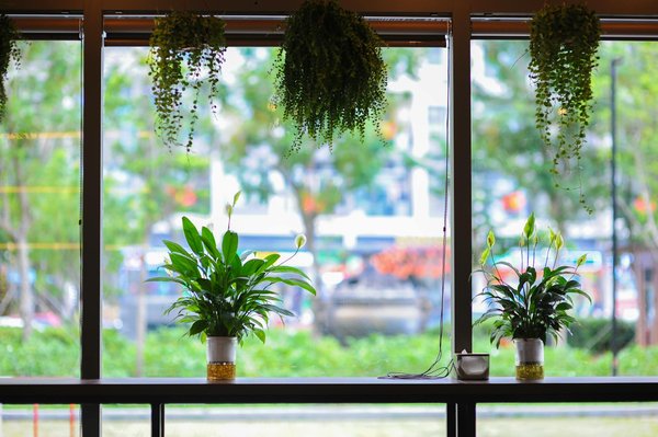 Stratégies Innovantes pour Créer une Campagne Puissante de Sensibilisation à la Sauvegarde des Récifs Coralliens