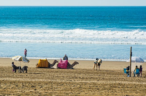 Plongée dans Agadir : les trésors à découvrir absolument